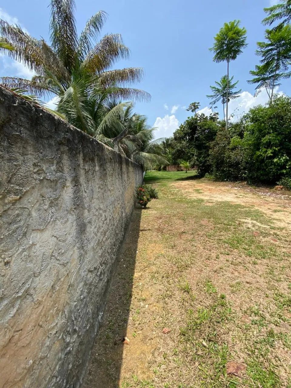 Vende-se - Foto 4