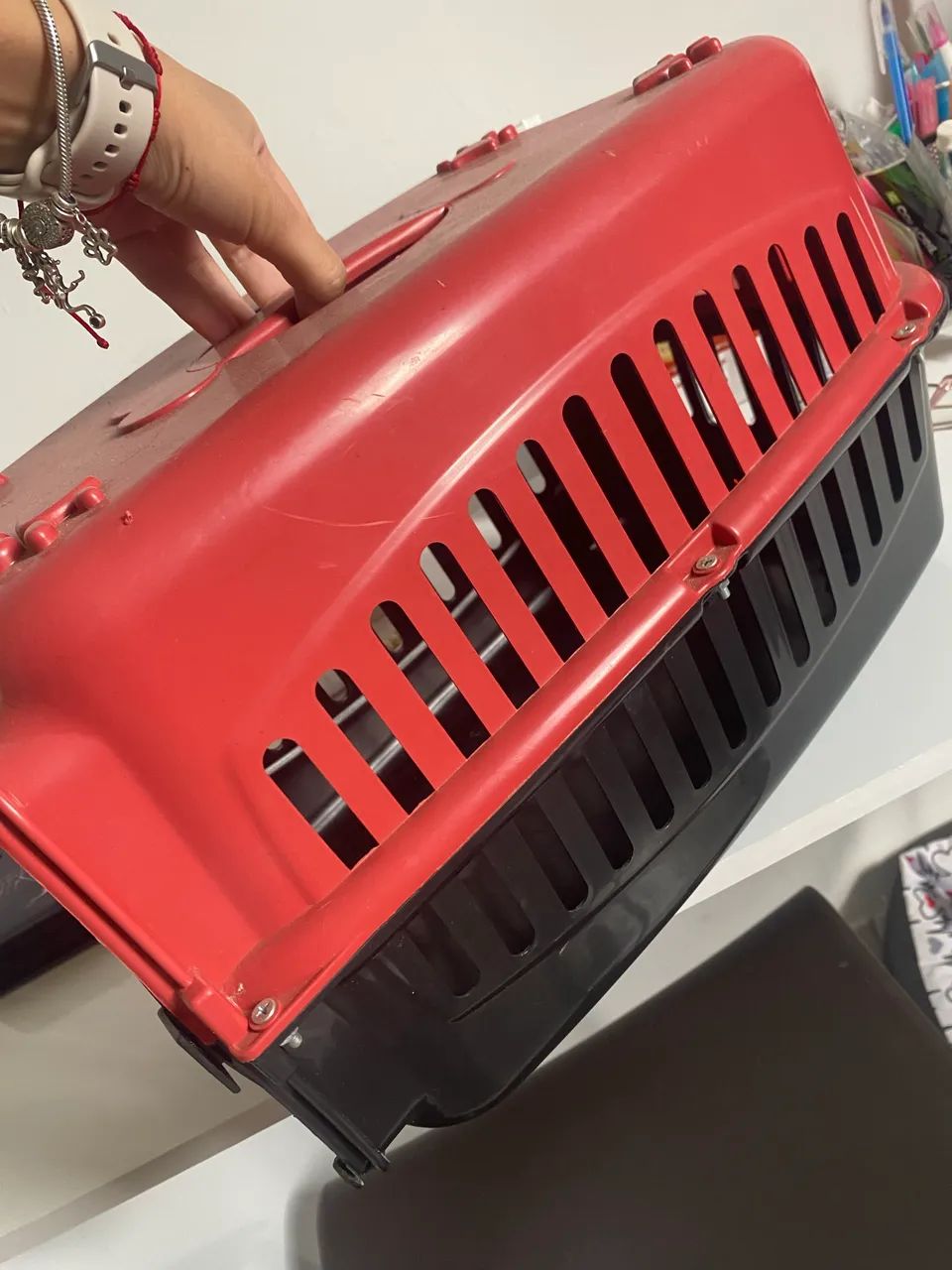 Caixa de pet - Foto 3