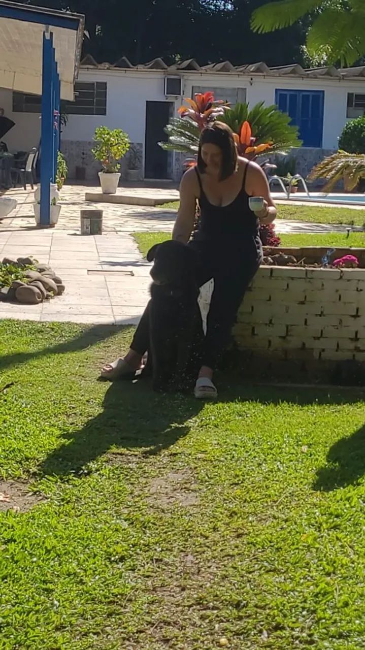 Pastor preto - Foto 4