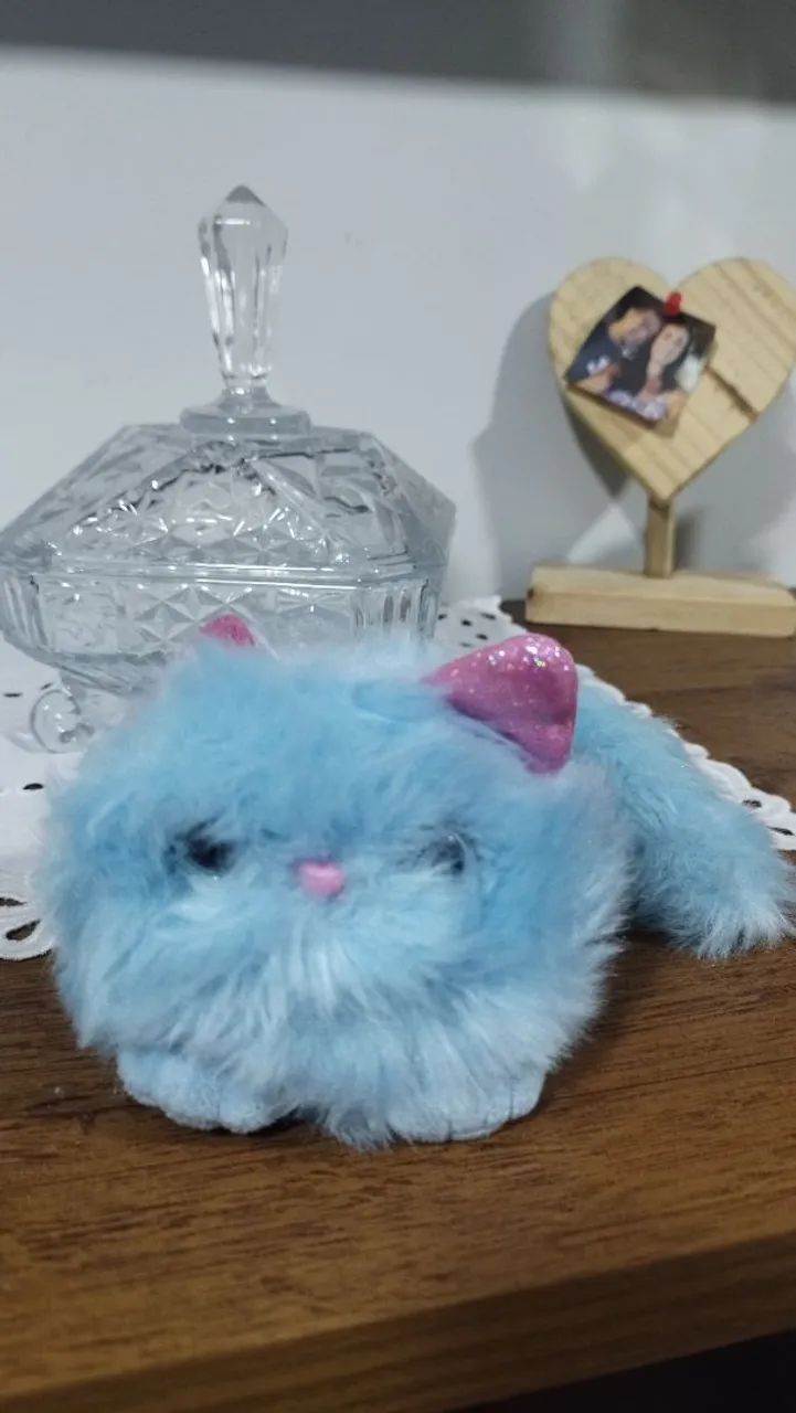 Gatinho Pomsies - Foto 3