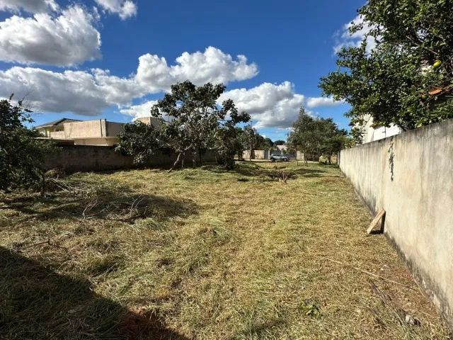 Terreno de 760m², plano, murado e pronto para construir - Foto 4