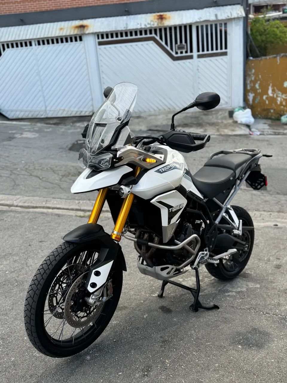 Tiger 900 rally P 