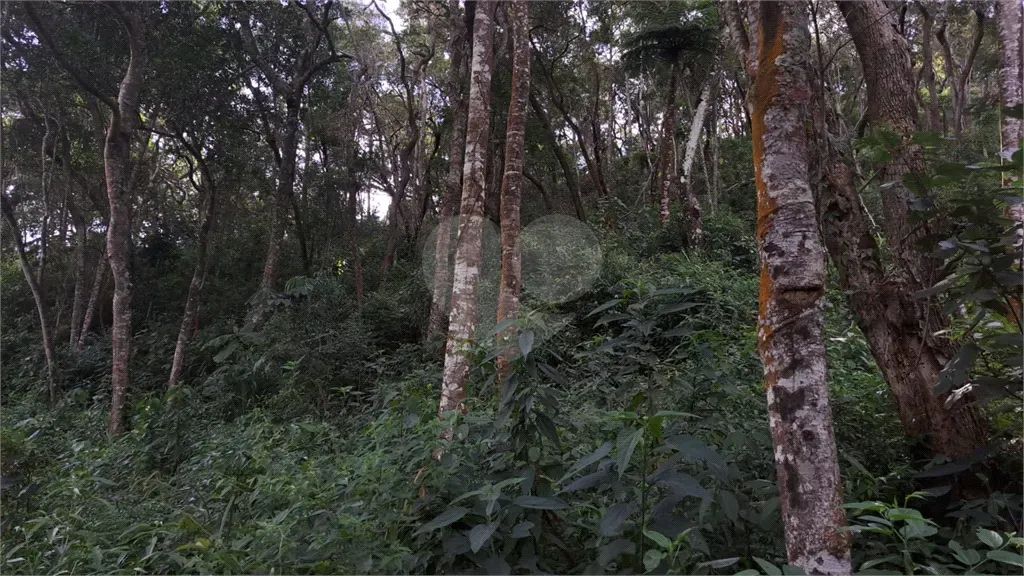 Terreno à venda em Mato dentro - SP - Foto 4