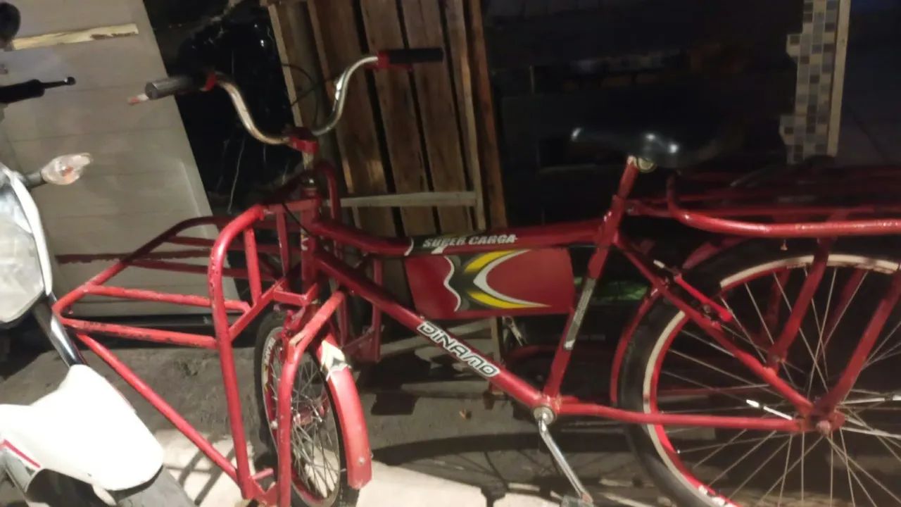 Bicicleta Cargueira  - Foto 3