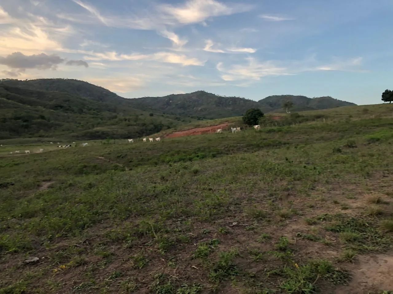 Vendo Fazenda em Guarabira PB - Foto 2