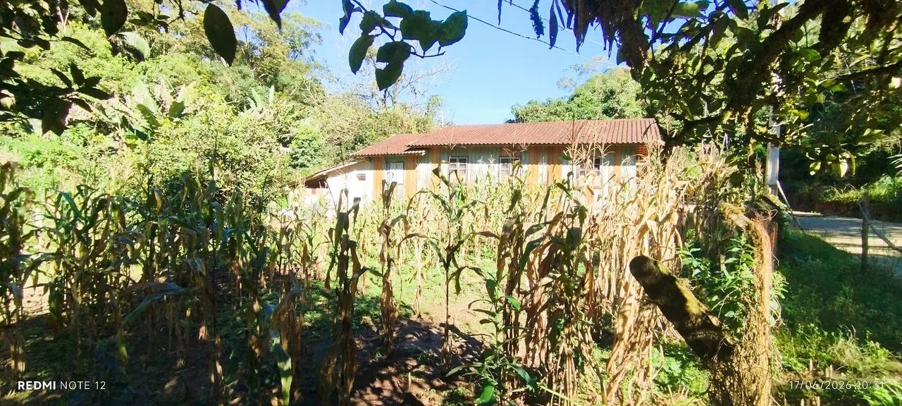 Chácara à venda em canelinha  - Foto 4