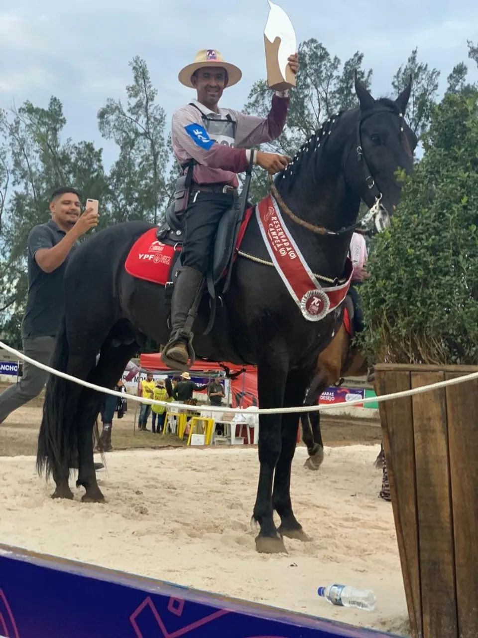 Venda de cavalo Mangalarga e campolina