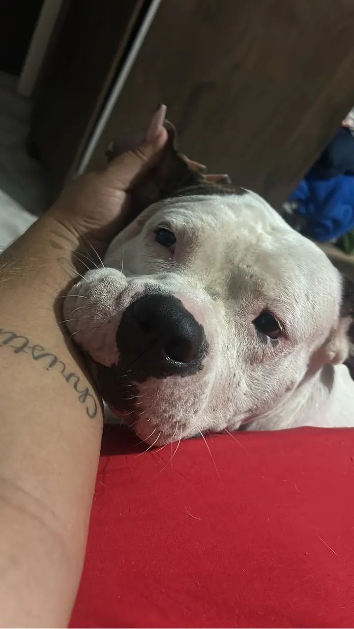 DOAÇAO - Foto 4