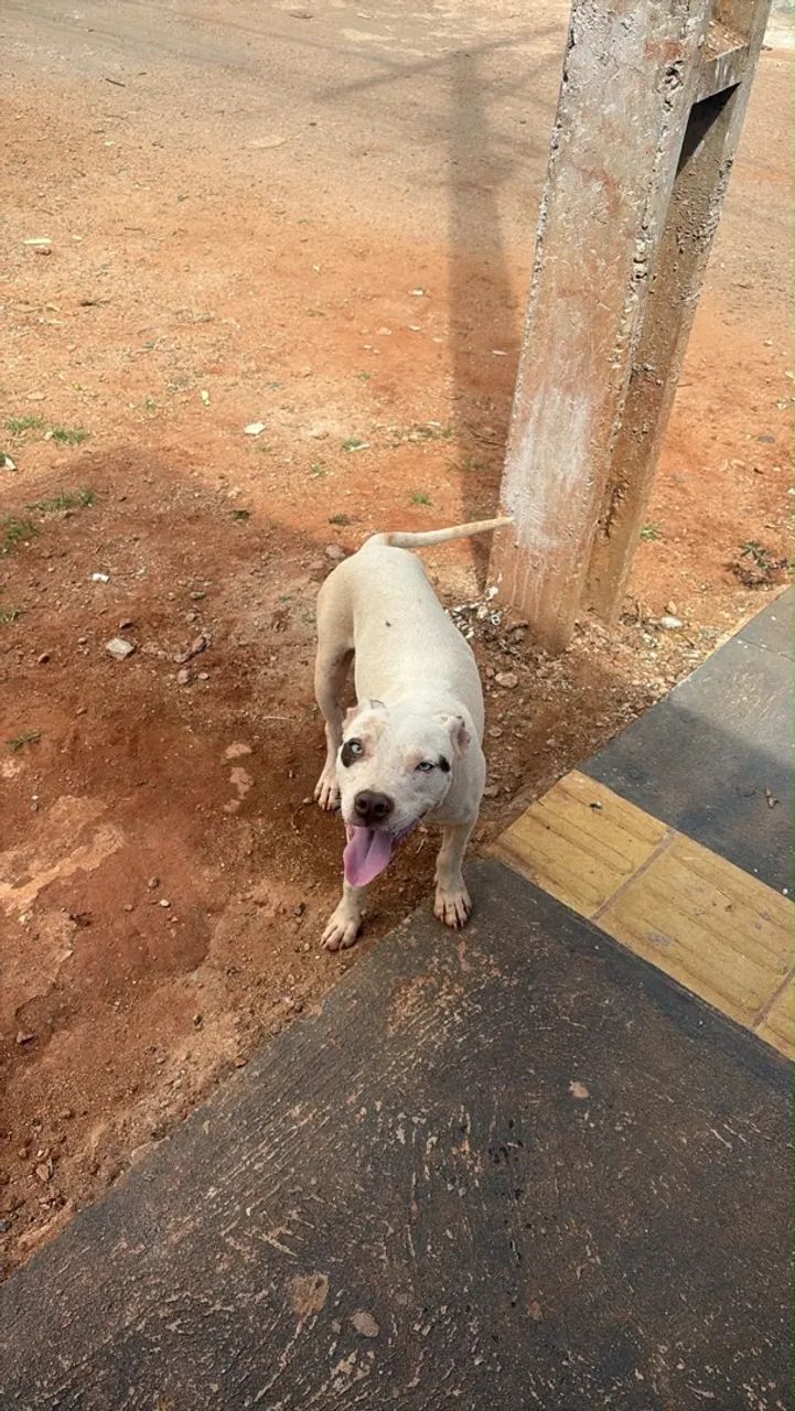 Doação  - Foto 2
