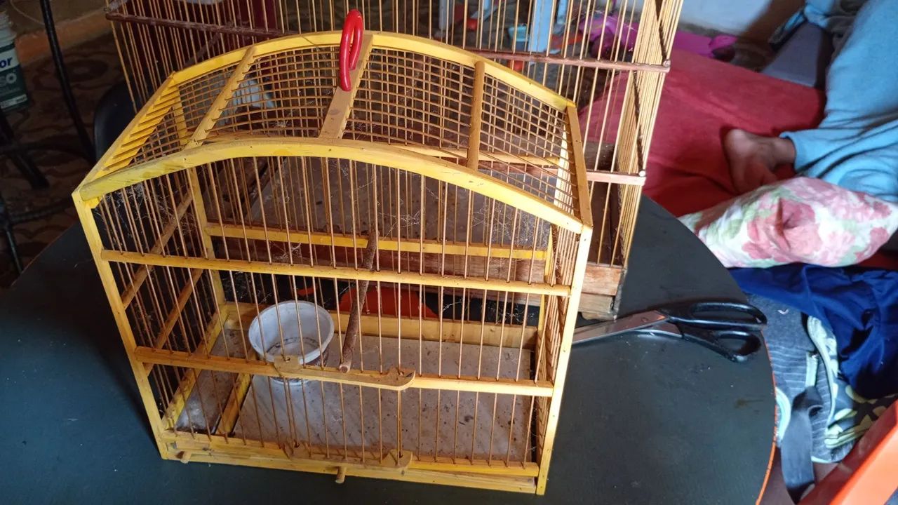 Gaiolas 