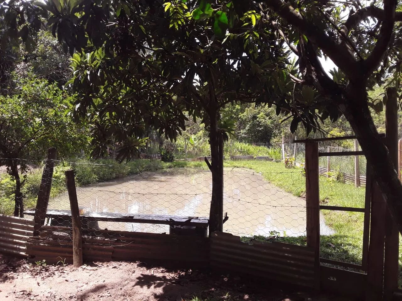 Vendo ou troco chacara em capela do alto - Foto 5