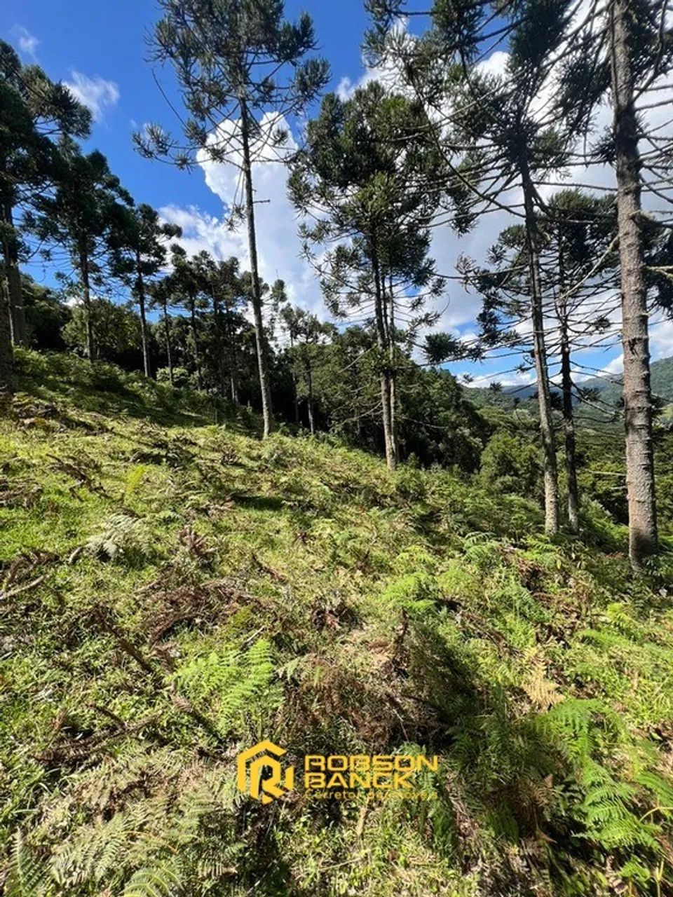 Refúgio Rural Próximo à Cidade - Foto 4