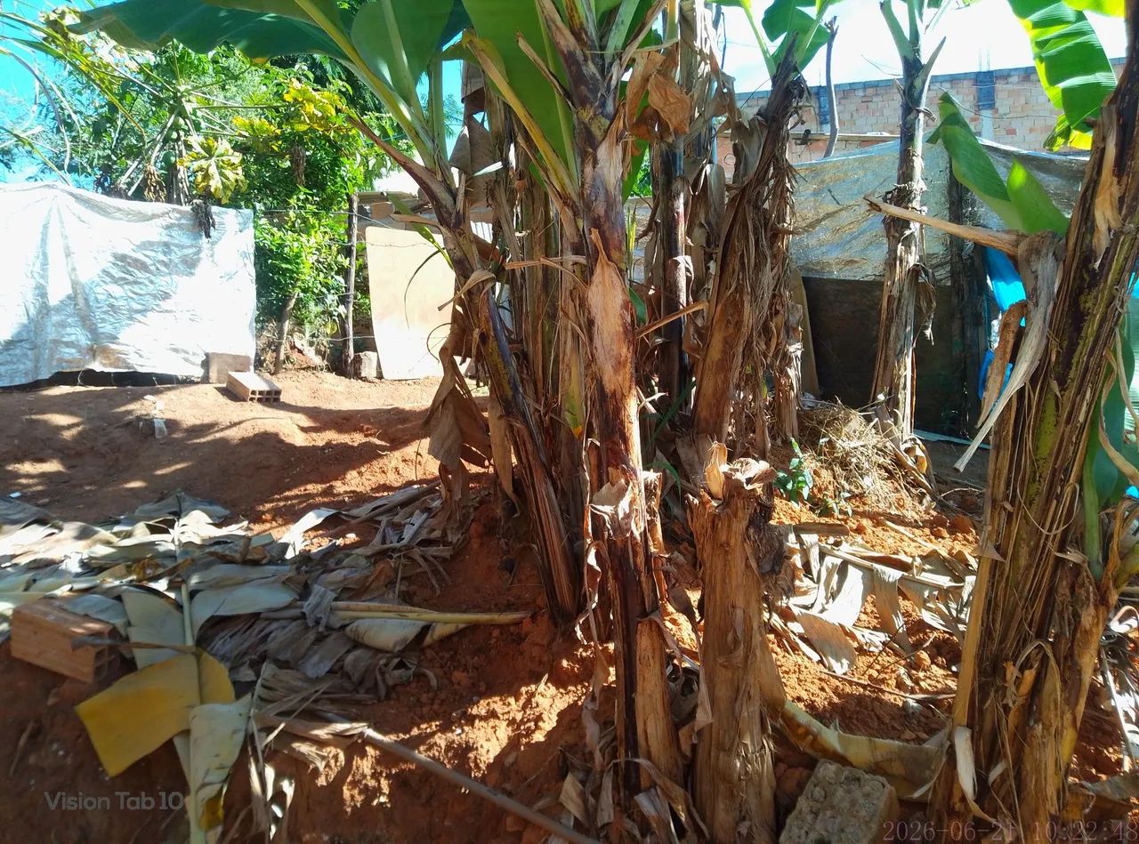 Casa quase pronta lugar d boa  - Foto 4