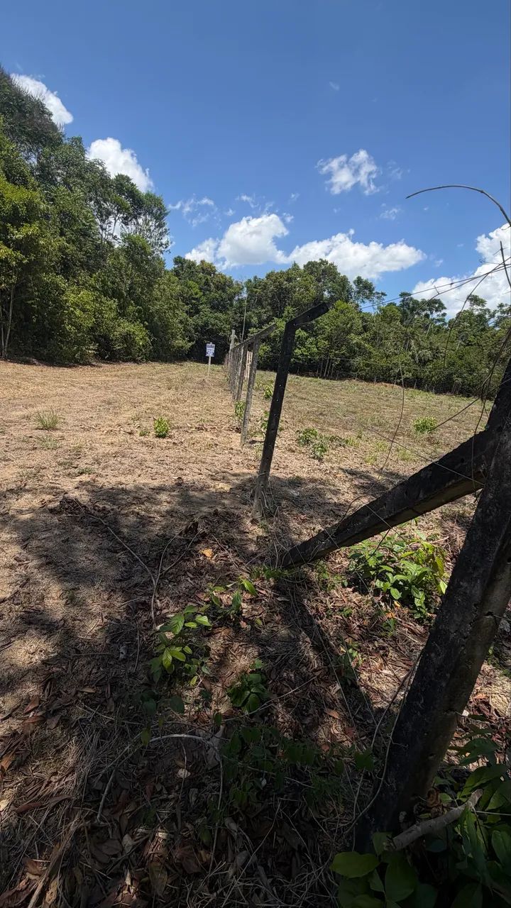 Vendo Terreno na AM 070 no KM 26.5 - Foto 3