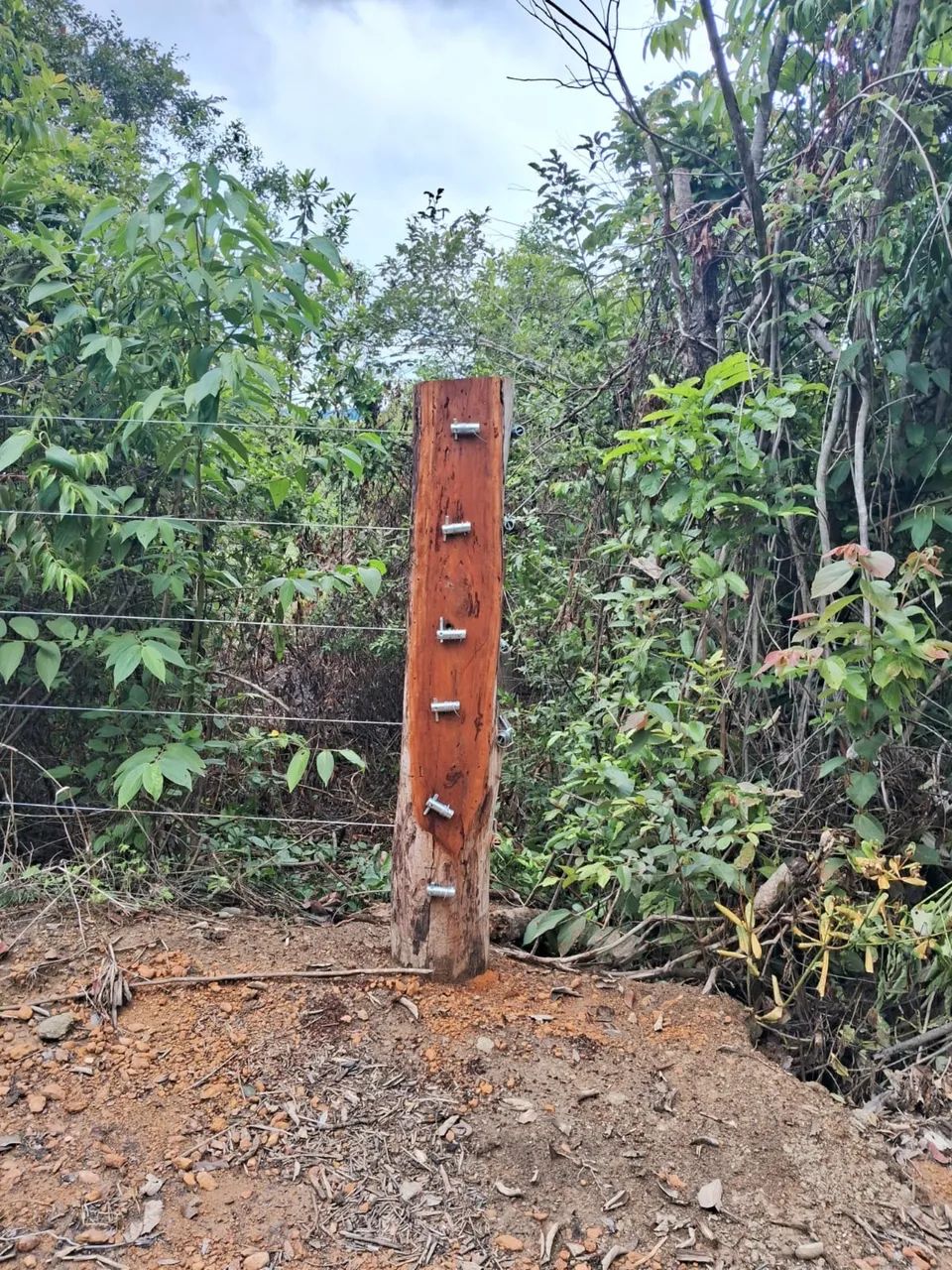 Foto - Anápolis - São Carlos