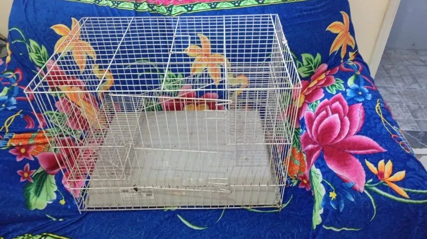 Grade/Cercado para roedores - Foto 3