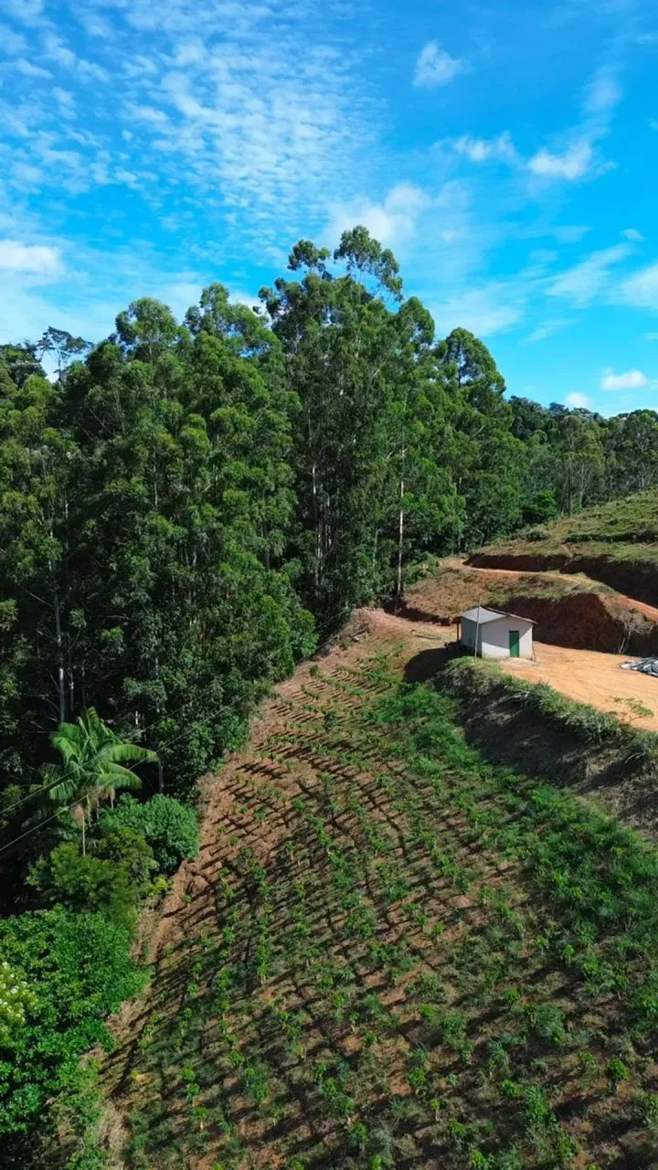 Venda de Sítio 9,20 hectares - Guaçuí  ES - Foto 5