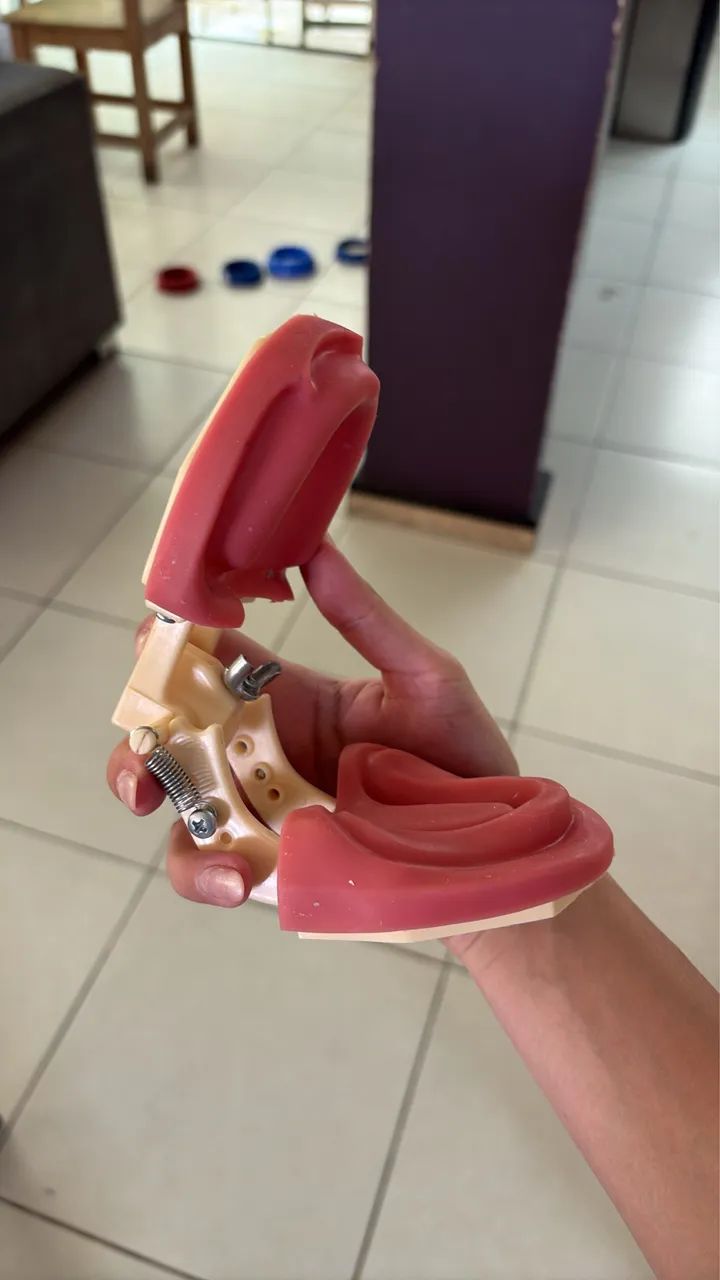 manequim odontológico 