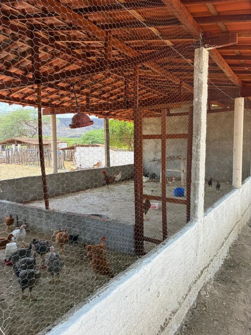 Fazenda com 39,4 hectares em São Tomé  - Foto 3