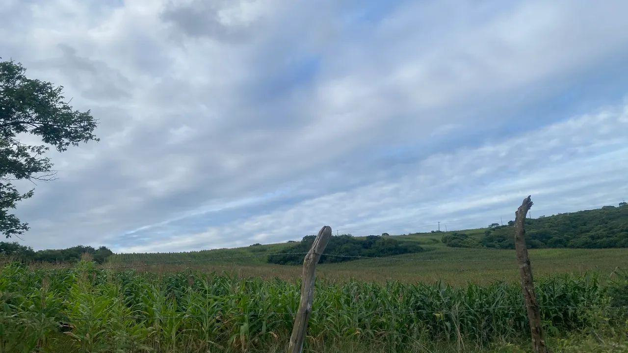 Vendo terreno de 27 tarefas em Japoatã  - Foto 4