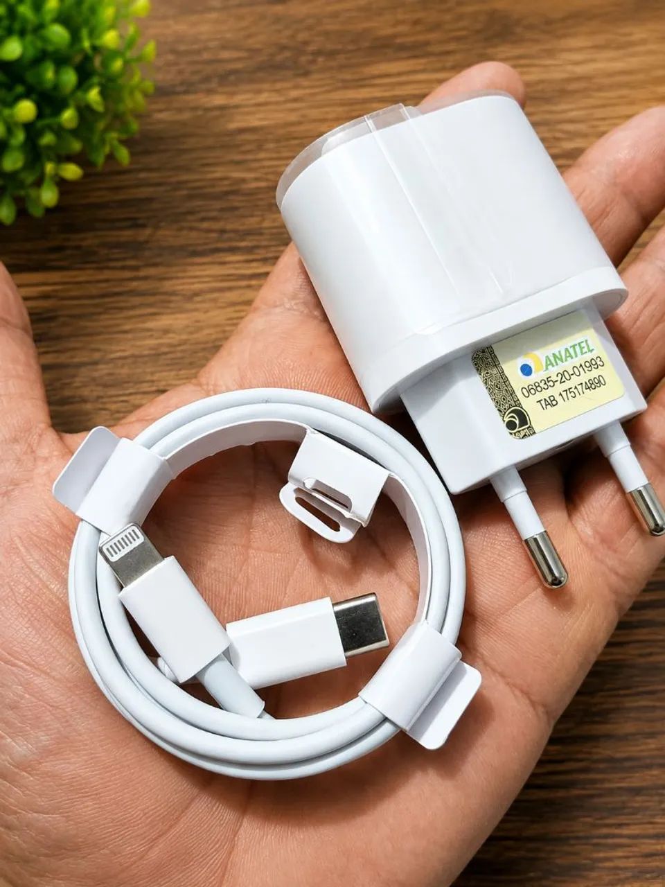 CARREGADOR PARA iPHONE 20W + CABO USB-C PARA LIGHTNING