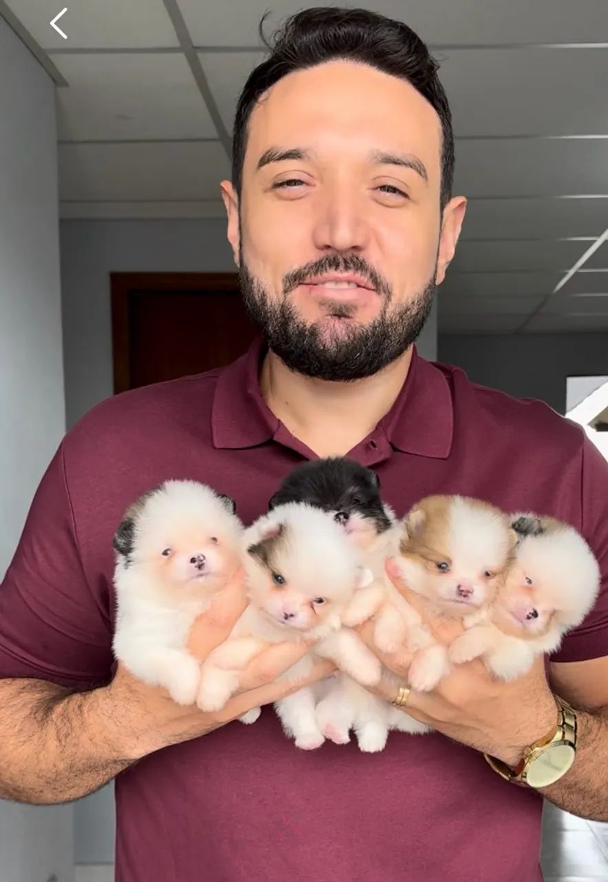 Filhotes para ADOÇÃO  - Foto 2