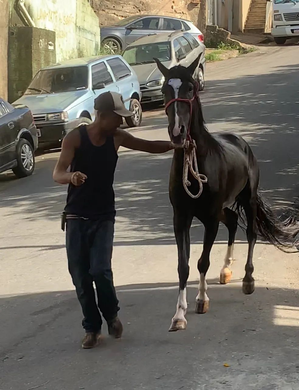 Potro preto luxo de batida  - Foto 6