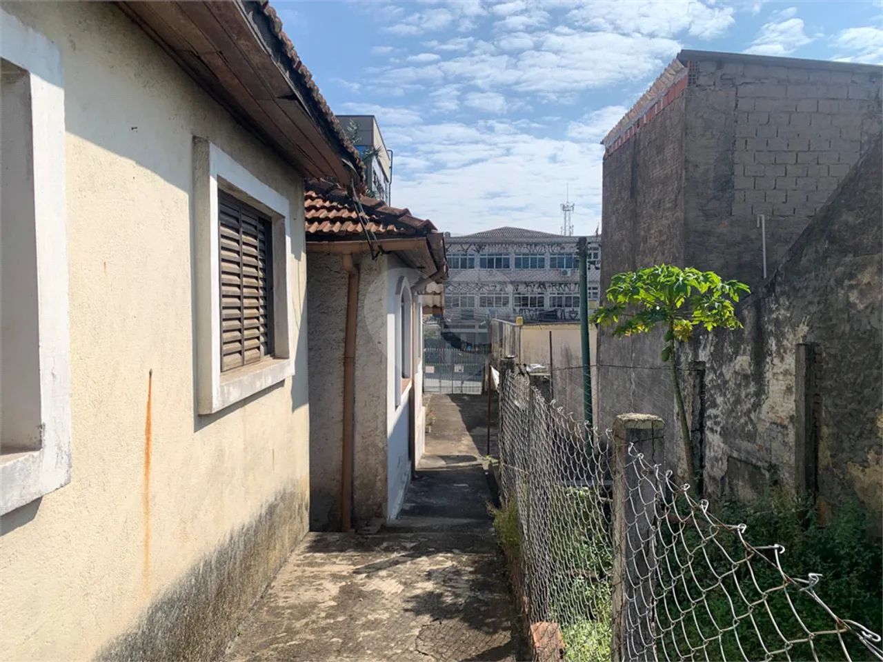 Terreno à venda em Vila gustavo - SP - Foto 2