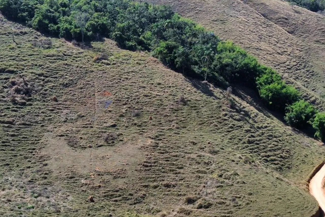Sítio de 7,7 hectares em Maripá de Minas - Foto 4