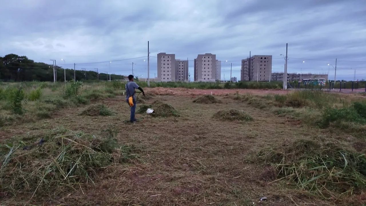 Capina roçadeira  - Foto 2