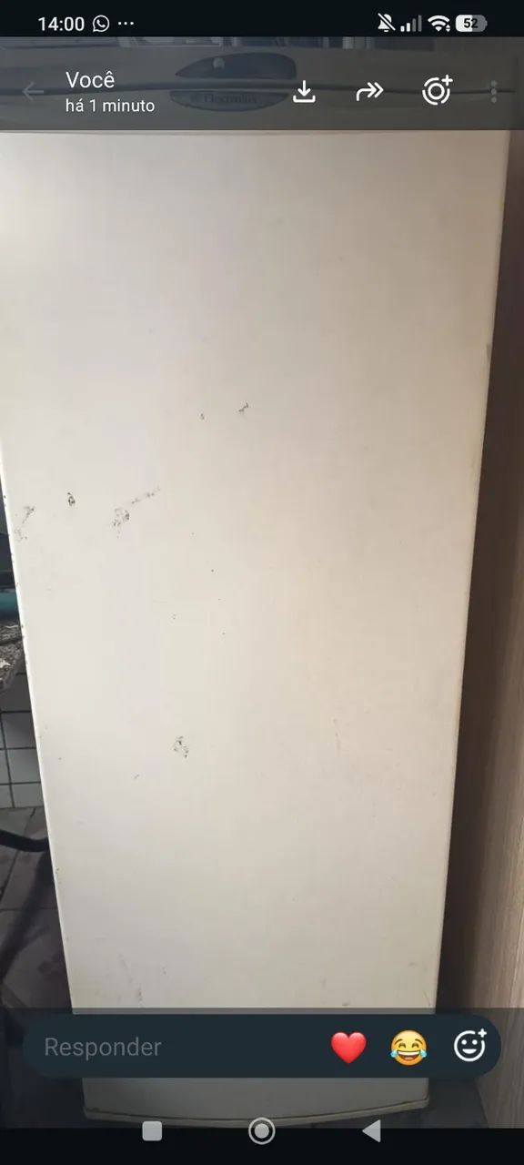 Freezer vertical Eletrolux - Mod F210