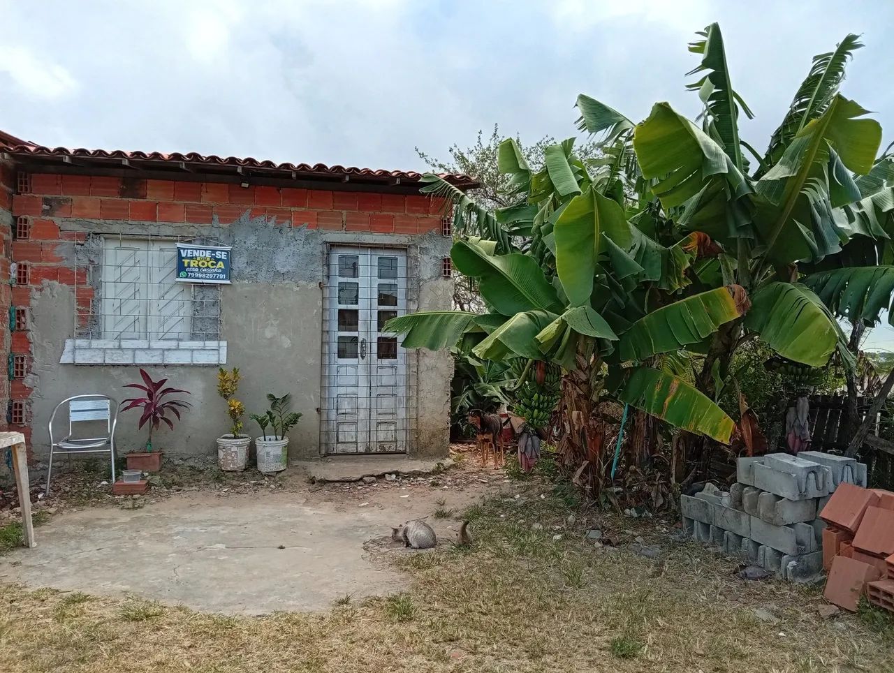 Vende essa casinha  - Foto 4