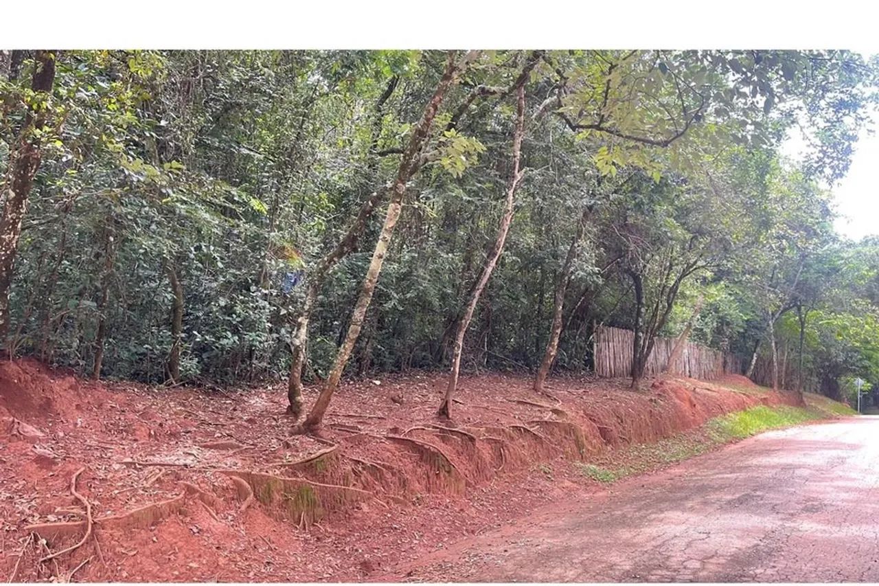 Terreno - Condomínio Águas Claras - Foto 4