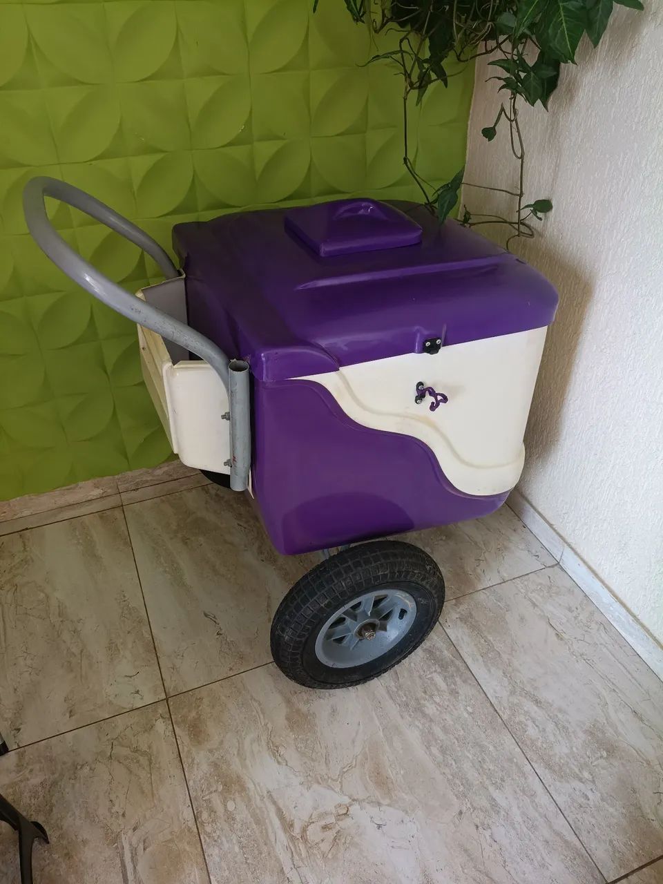 Carinho de sorvete  - Foto 4