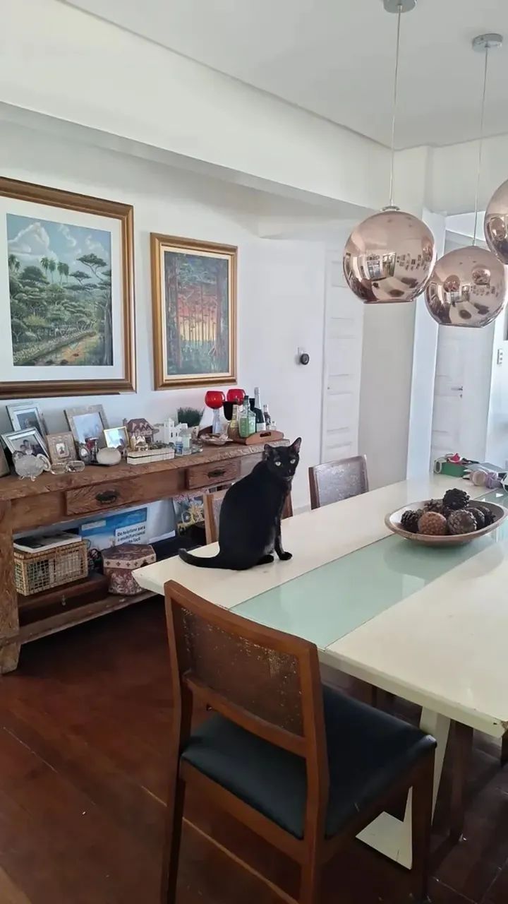 EDIFÍCIO VICTOR I, 100M². 3 QUARTOS SENDO 1 SUÍTE, 1 VAGA, CREMAÇÃO - Foto 9