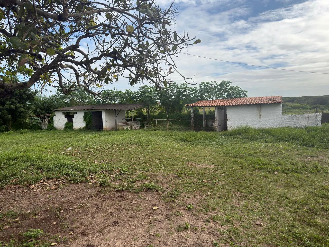 Oportunidade;Granja em Macaíba bem arejada e tranquila e ventilada  - Foto 2