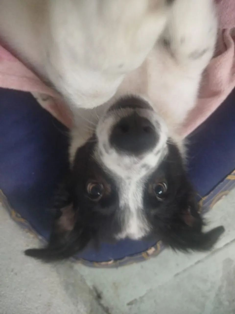 Doação  - Foto 4