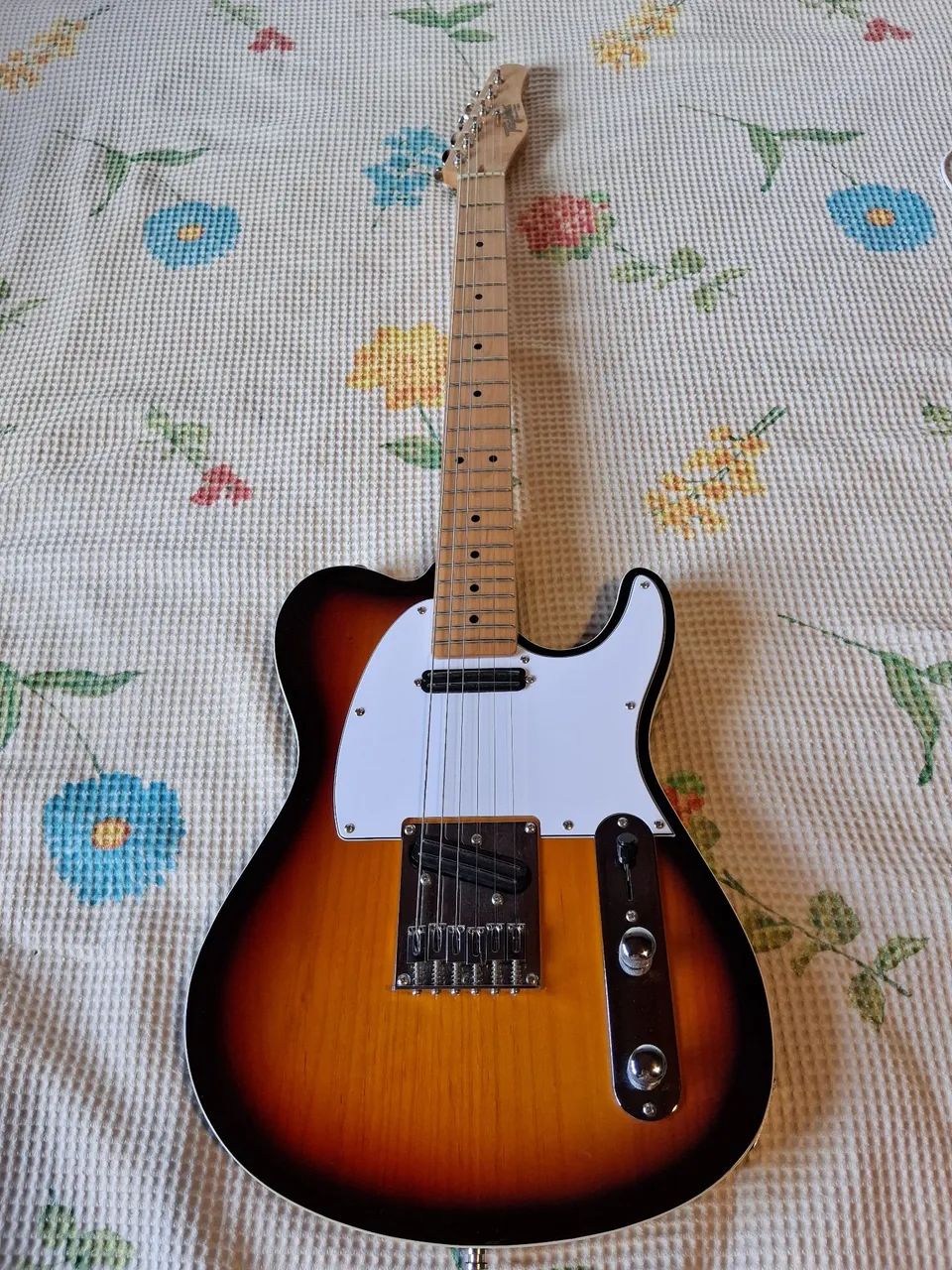 Guitarra Tagima T550