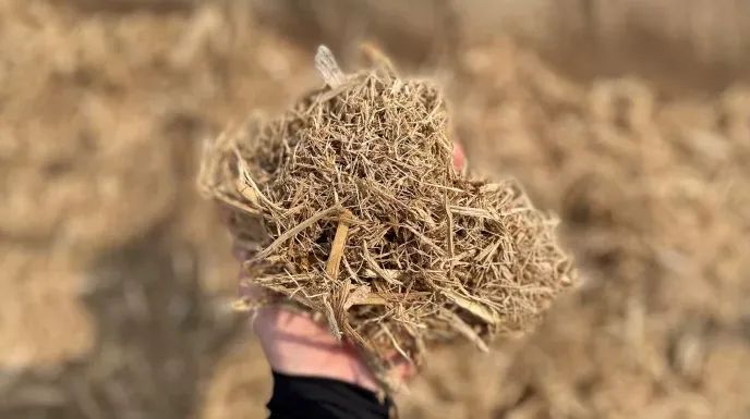 BAGAÇO DE CANA COM MELAÇO 