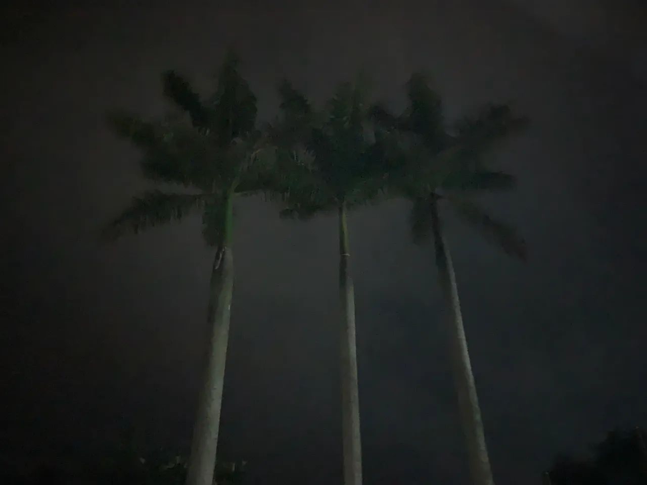 Chácara porteira fechada  - Foto 5