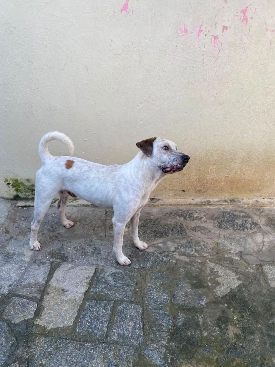 Doação  - Foto 2
