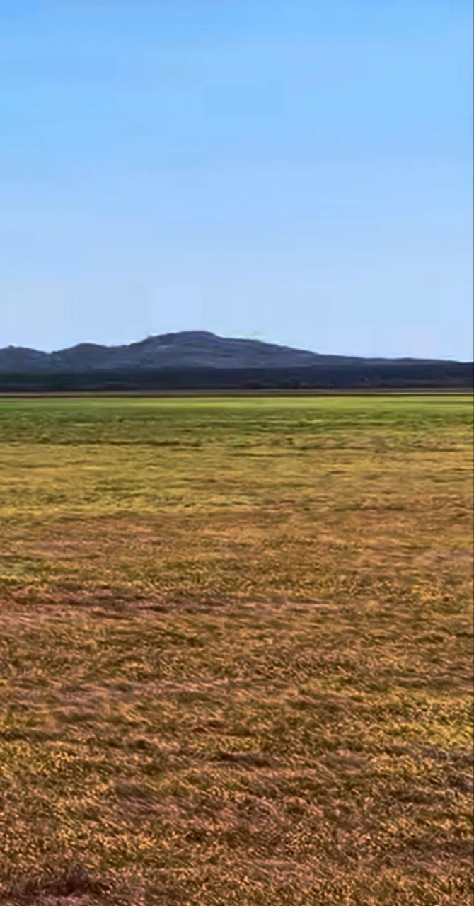 Fazenda no sul do Tocantins  - Foto 5