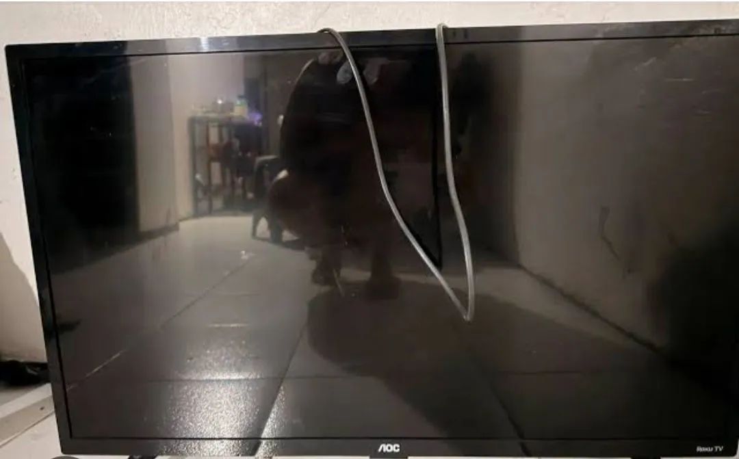 Televisão 