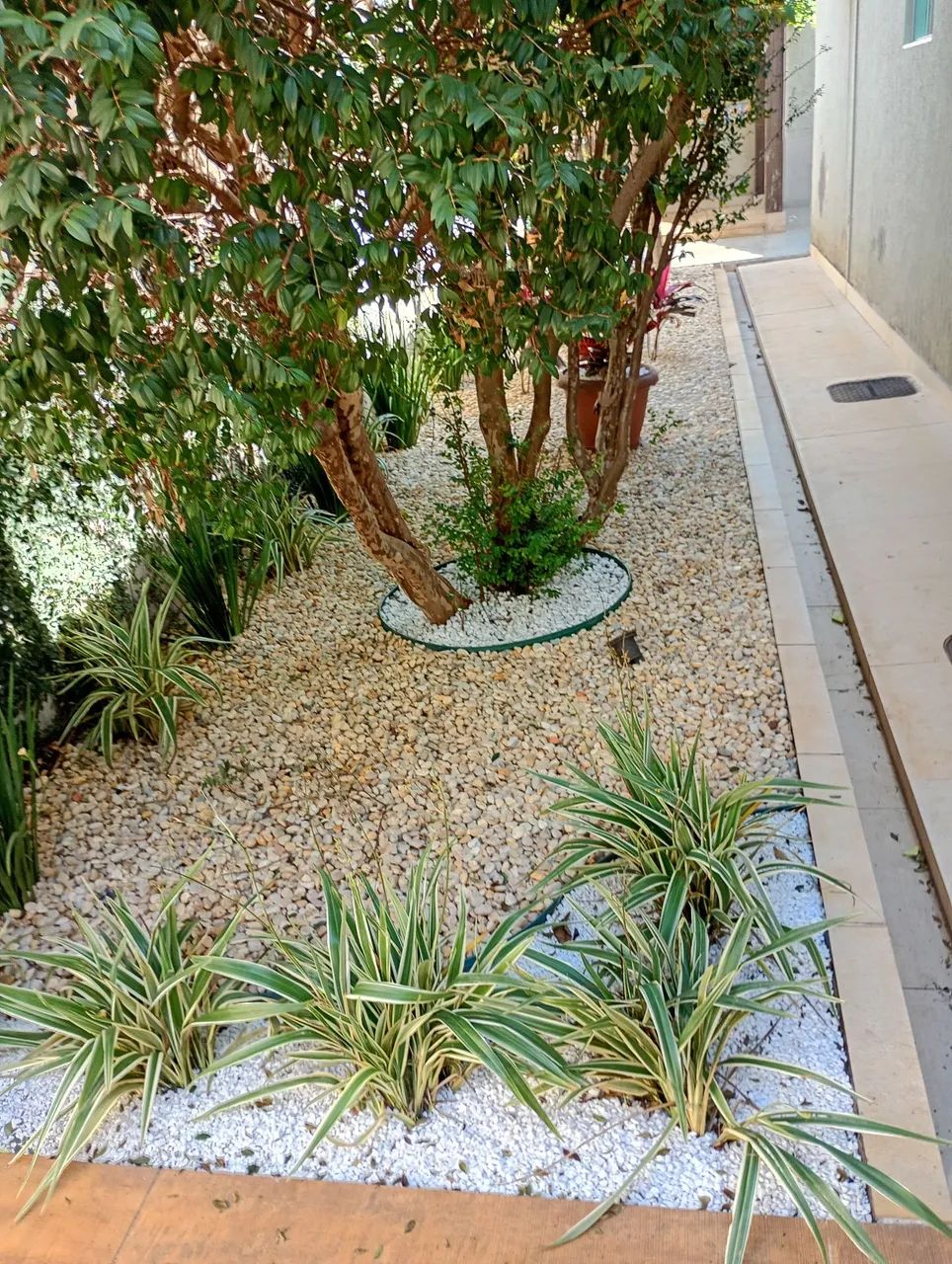 que um jardim agradável e perfeito,fale comigo  - Foto 3