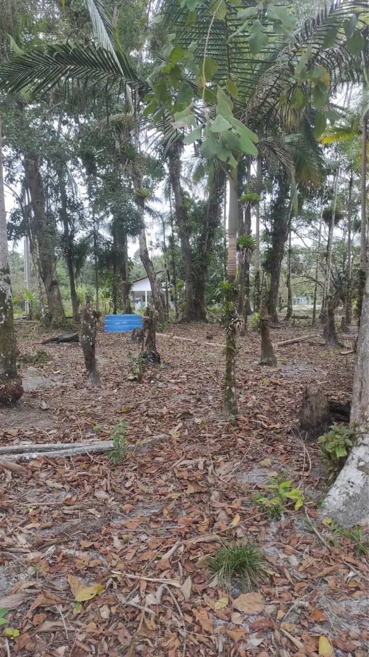 Vendo chácara  - Foto 5