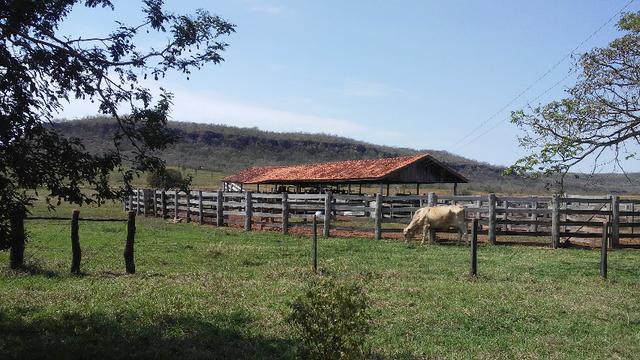 Fazenda 2.125 hectares - Munic. Aquidauana MS - Foto 5