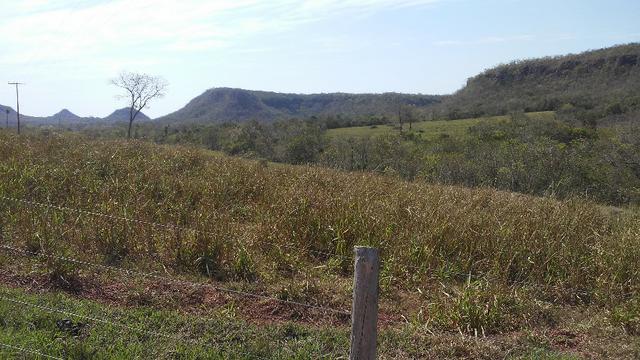 Fazenda 2.125 hectares - Munic. Aquidauana MS - Foto 19