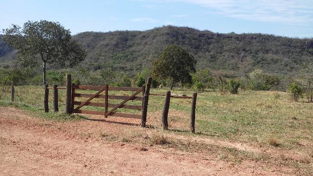 Fazenda 2.125 hectares - Munic. Aquidauana MS - Foto 15