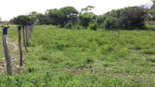 Lote no pov. matapuã. bairro mosqueiro - Foto 3