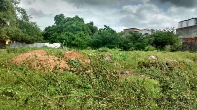 Terreno no Bairro Ponto Novo - Foto 6